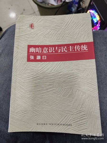 幽暗意识与民主传统