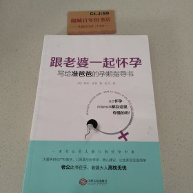 跟老婆一起怀孕：写给准爸爸的孕期指导书