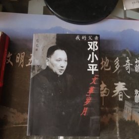 我的父亲邓小平：文革岁月（带光盘）
