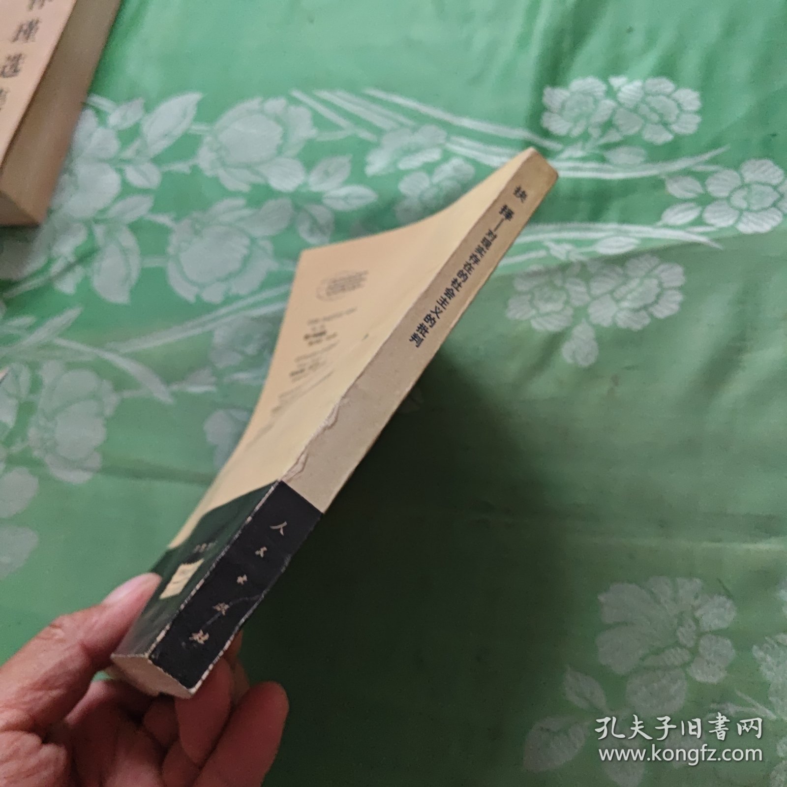 抉择:对现实存在的社会主义的批判