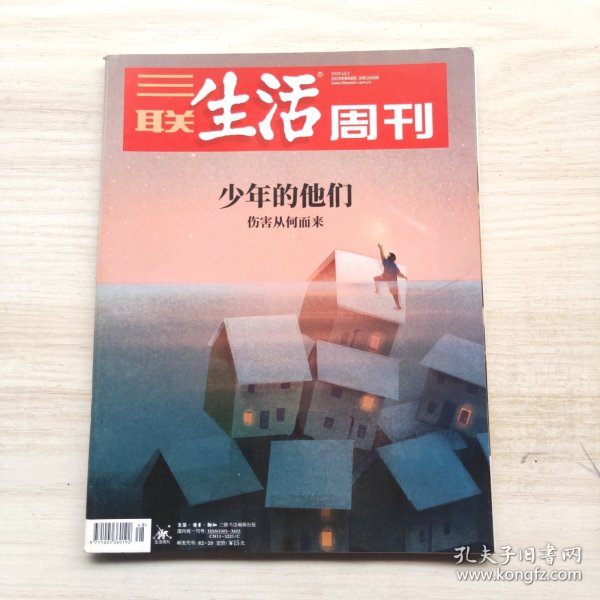 三联生活周刊 2019年48期 总第1065期 封面文章：少年的他们-伤害从何而来