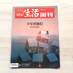 三联生活周刊 2019年48期 总第1065期 封面文章：少年的他们-伤害从何而来