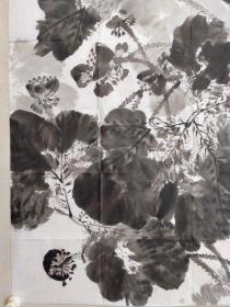 保真书画，河南花鸟画研究会副会长，赵东军国画作品一幅135×68cm软片，現爲國家一級美術師，中國美術家協會會員、中國當代書畫研究會名譽會長，河南省花鳥畫研究會副會長、河南省書畫院特聘畫家、洛陽書畫院副院長、洛陽市花鳥畫藝委會顾问、享受政府特殊津貼優秀專家。