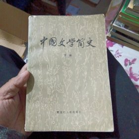 中国文学简史 下册