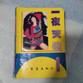 一夜天使  姫小苔（