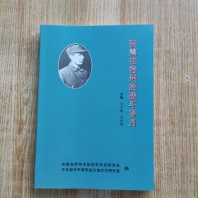 张震在宿州的战斗岁月
