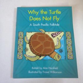 Why the Turtle Does Not Fly