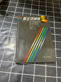 第五项修炼：学习型组织的艺术与实务