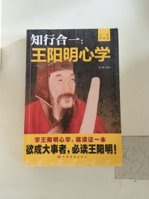 知行合一：王阳明心学（升级图解版）