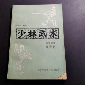 少林武术 连手短打达磨杖