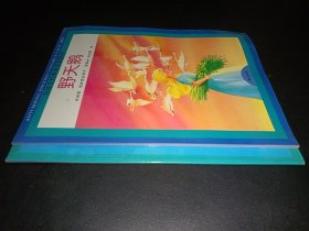 安徒生经典童话彩图本 2本合售（野天鹅，海的女儿）