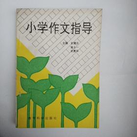 小学作文指导