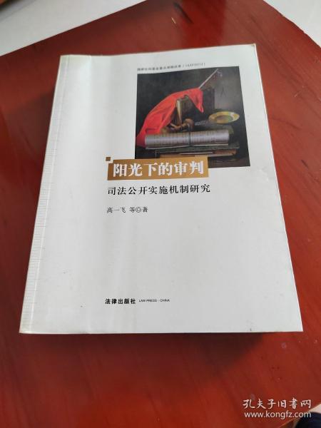 阳光下的审判：司法公开实施机制研究