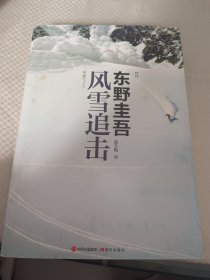 风雪追击