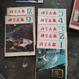 科学画报1982年（见图7期合售）