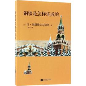 钢铁是怎样炼成的 外国文学名著读物 (苏)尼·奥斯特洛夫斯基  新华正版