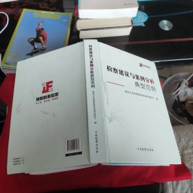 检察建议与案例分析典型范例