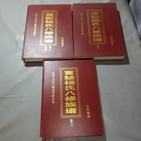 重整杨氏八修族谱 卷1-3 共3册