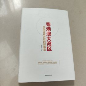 粤港澳大湾区:中国改革开放的新篇章【精装 没勾画