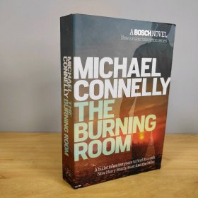 【英文原版】Burning Room，