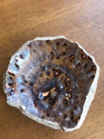 宋代吉州窑鹧鸪斑完整底足瓷片，6.5、6.5、2.5厘米