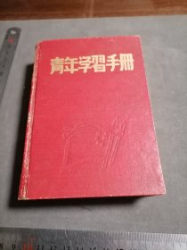 1952年 青年学习手册 空白日记本笔记本 插图十几页面等