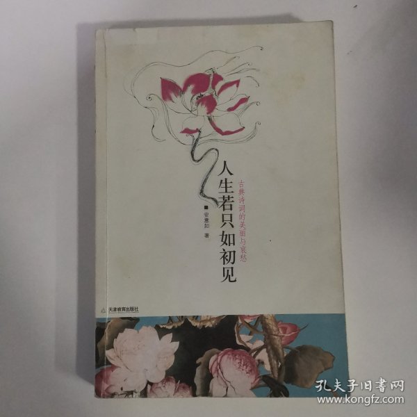 人生若只如初见：古典诗词的美丽与哀愁