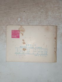 连环画 智逮穿山甲