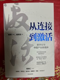 从连接到激活：数字化与中国产业新循环