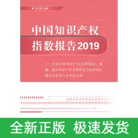 中国知识产权指数报告2019