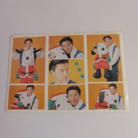 刘德华明星贴纸5