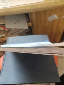 河流数值模拟技术及工程应用