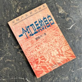 一个红卫兵的自白