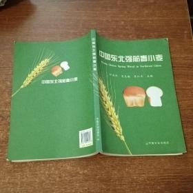 中国东北强筋春小麦