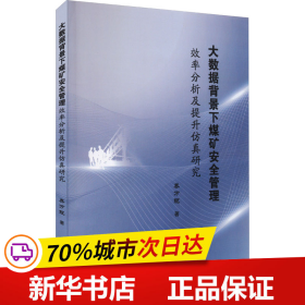 保正版！大数据背景下煤矿安全管理效率分析及提升仿真研究9787564594008郑州大学出版社乔万冠