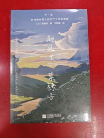 起风了·菜穗子：宫崎骏作品《起风了》同名原著，芥川龙之介唯一弟子——堀辰雄代表作！