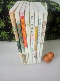 皇名月作品系列 全8册合售：《梁山伯与祝英台》《恋泉：花情曲余话》《山居之神》《李朝·暗行记》《黄土的旗帜下》《花情曲》《燕京艺人传奇》《女儿情》