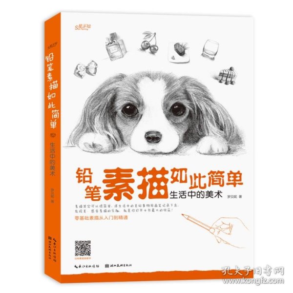 铅笔素描如此简单 : 生活中的美术