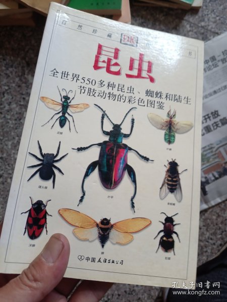 昆虫：全世界550多种昆虫、蜘蛛和陆生节肢动物的彩色图鉴