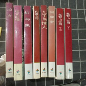 90年代英语系列丛书 世界文学名著系列 8本合售