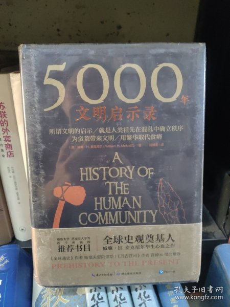 5000年文明启示录（比肩《全球通史》，世界近千所高校历史学推荐书目）