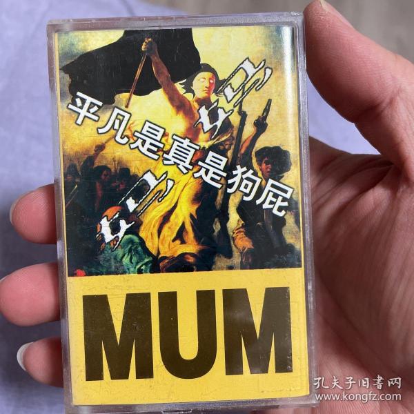 【中国摇滚】妈妈乐队——平凡真是狗屁，武汉朋克代表乐队，音像制品售出不退不换