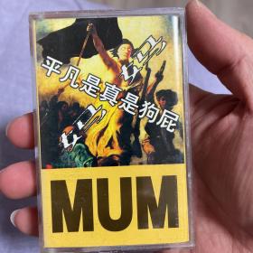 【中国摇滚】妈妈乐队——平凡真是狗屁,武汉朋克代表乐队,音像制品售出不退不换