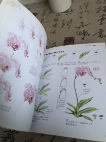 花之绘 ·38种花的色铅笔图绘