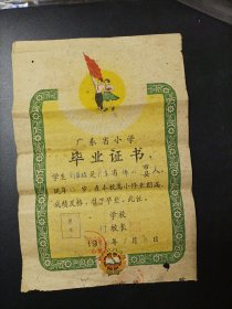 1960年广东省石湾镇高小毕业证书