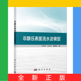 非静压表面流水波模型