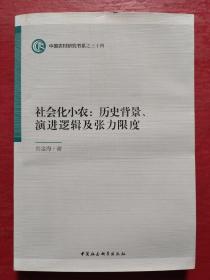 社会化小农:历史背景、演进逻辑及张力限度