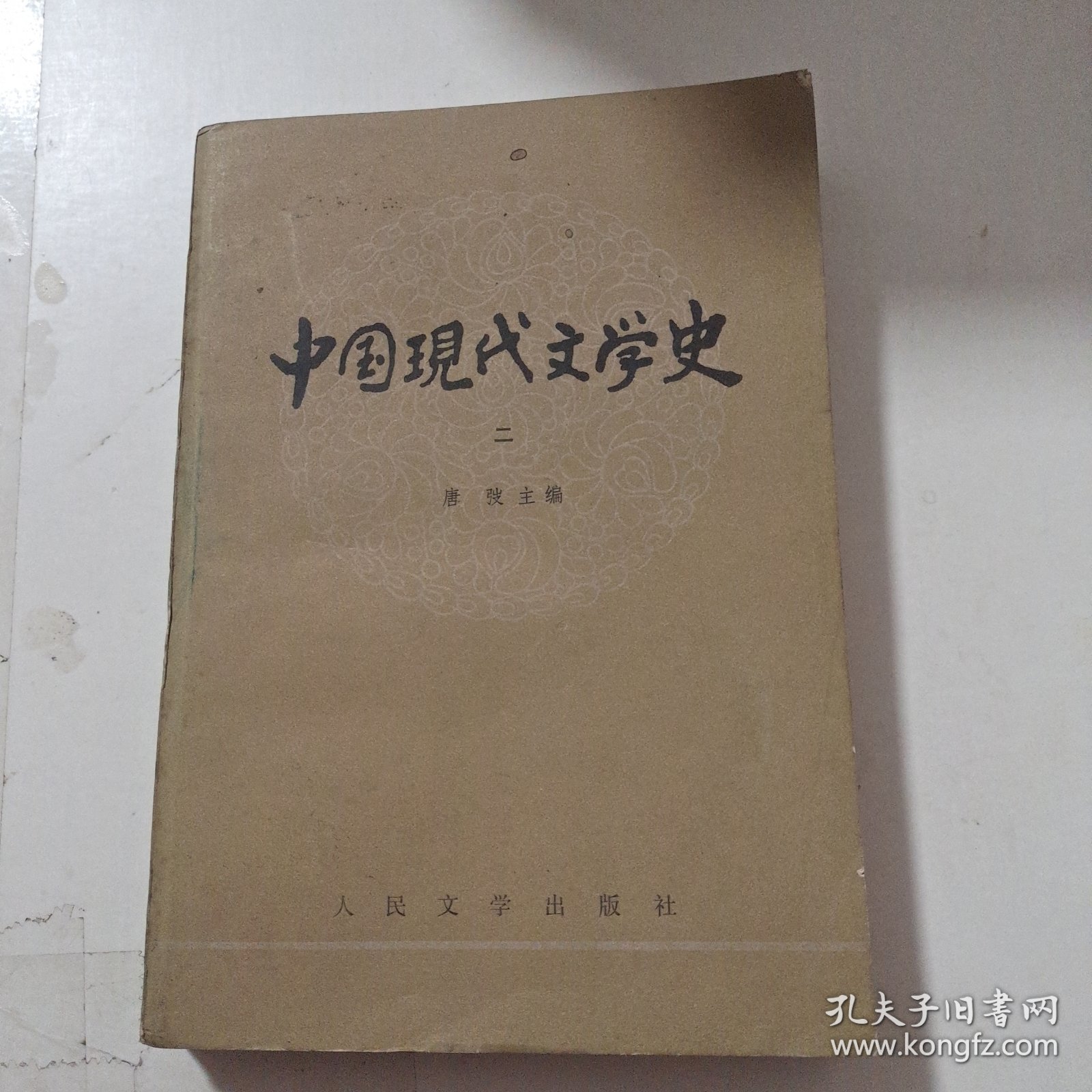 中国现代文学史 二