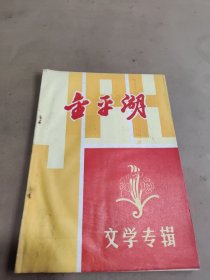 金平湖 文学专辑
