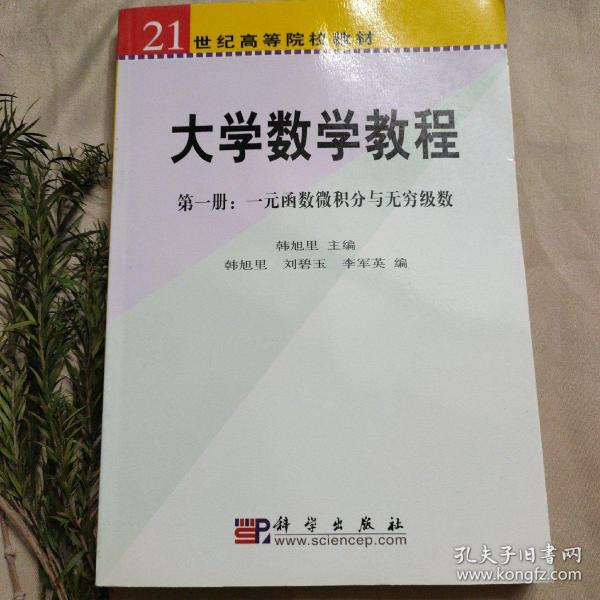 大学数学教程：第一册·一元函数微积分与无穷级数